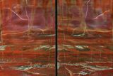 Tall, Arizona Petrified Wood Bookends - Red, Orange & Purple #171988-1